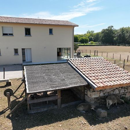 Villa Des Grands Crus Cadaujac Екстериор снимка